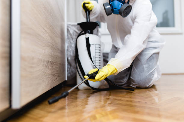 Best Residential Pest Control  in Orchard Homes, MT