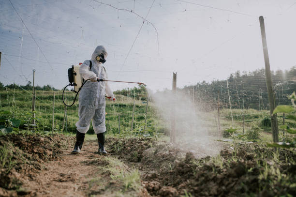 Best Ant Control Services  in Orchard Homes, MT