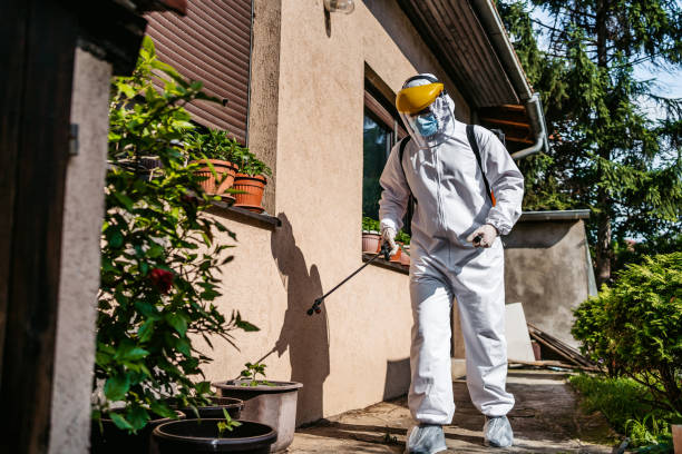 Best Residential Pest Control  in Orchard Homes, MT