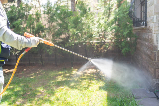 Best Bed Bug Extermination  in Orchard Homes, MT
