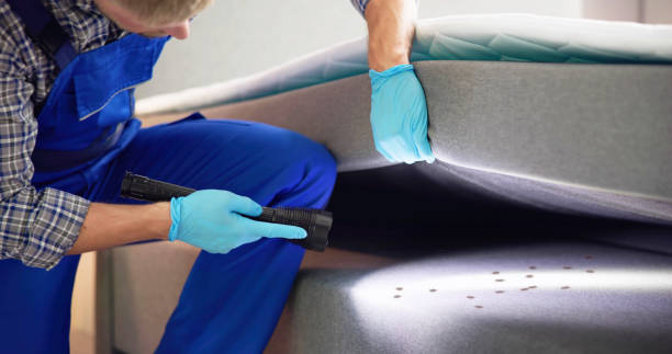 Best Mosquito Control Services  in Orchard Homes, MT