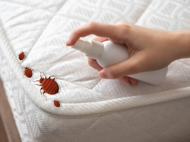 Best Pest Prevention Services  in Orchard Homes, MT