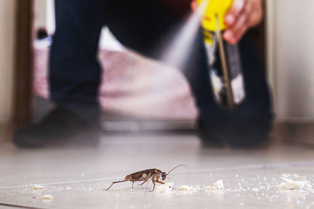 Best Affordable Pest Control Services  in Orchard Homes, MT