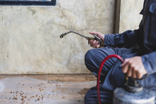 Best Affordable Pest Control Services  in Orchard Homes, MT