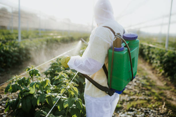 Best Best Pest Control Companies  in Orchard Homes, MT